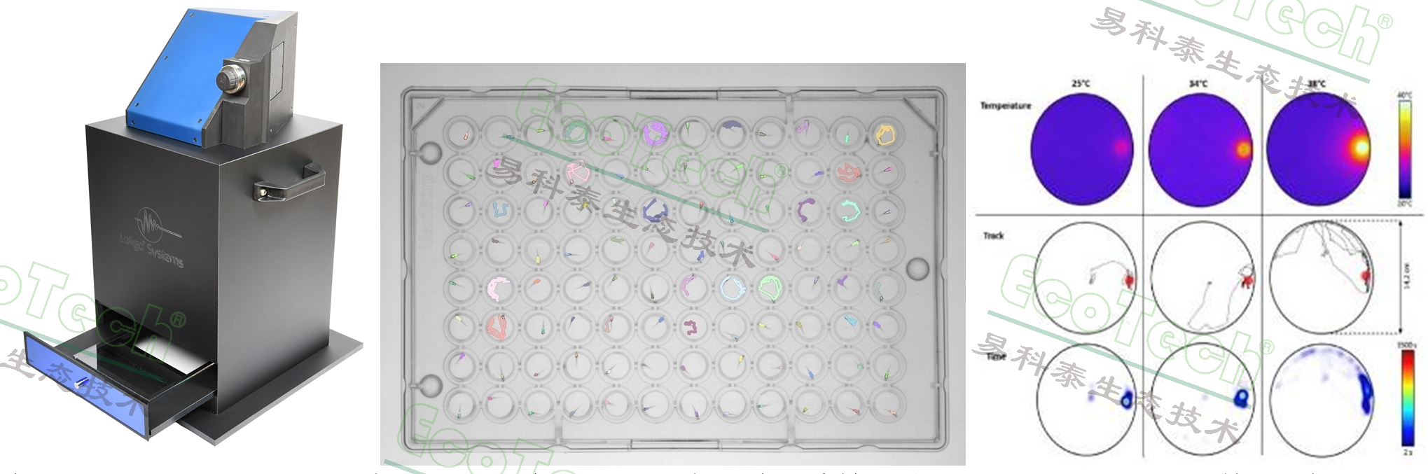 77779193永利官网(集团)有限公司