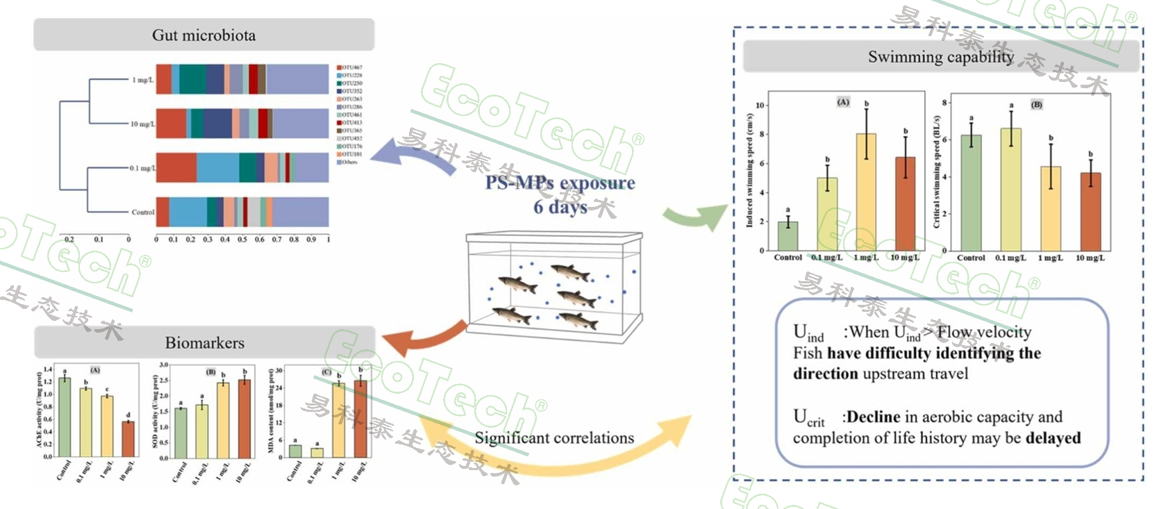77779193永利官网(集团)有限公司