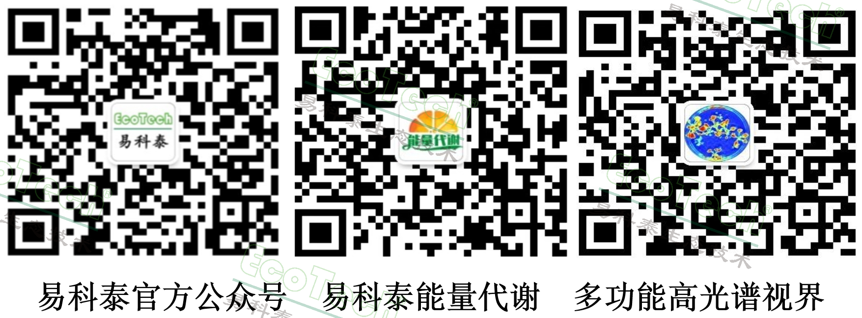 77779193永利官网(集团)有限公司