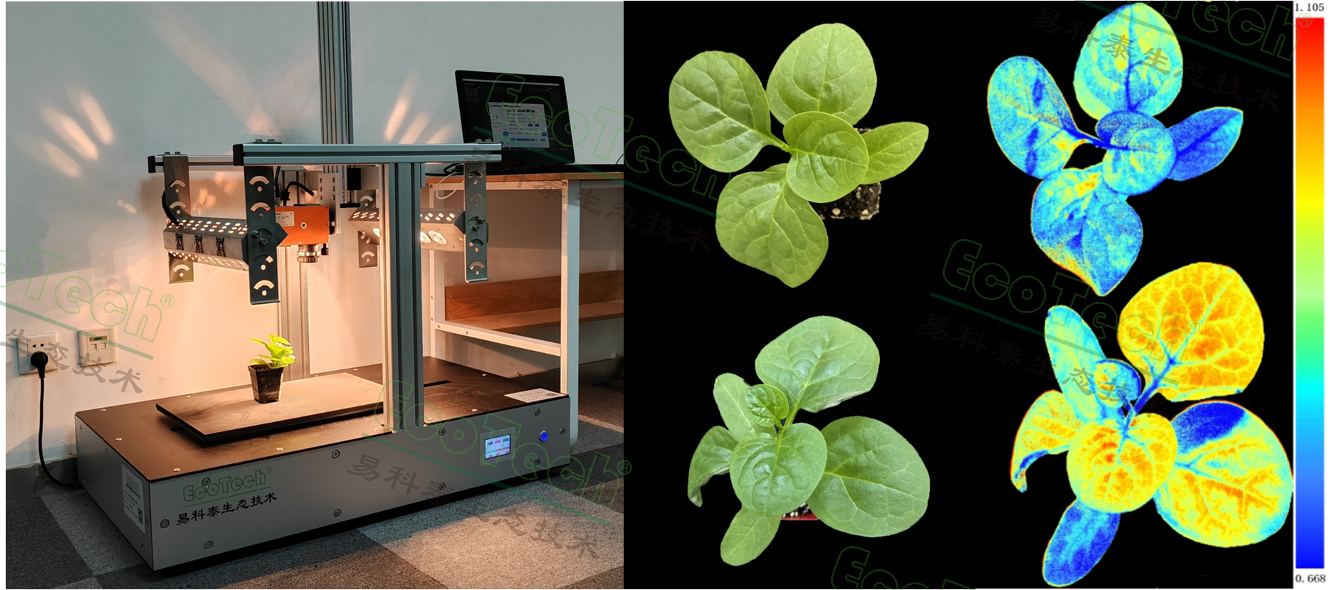 77779193永利官网(集团)有限公司