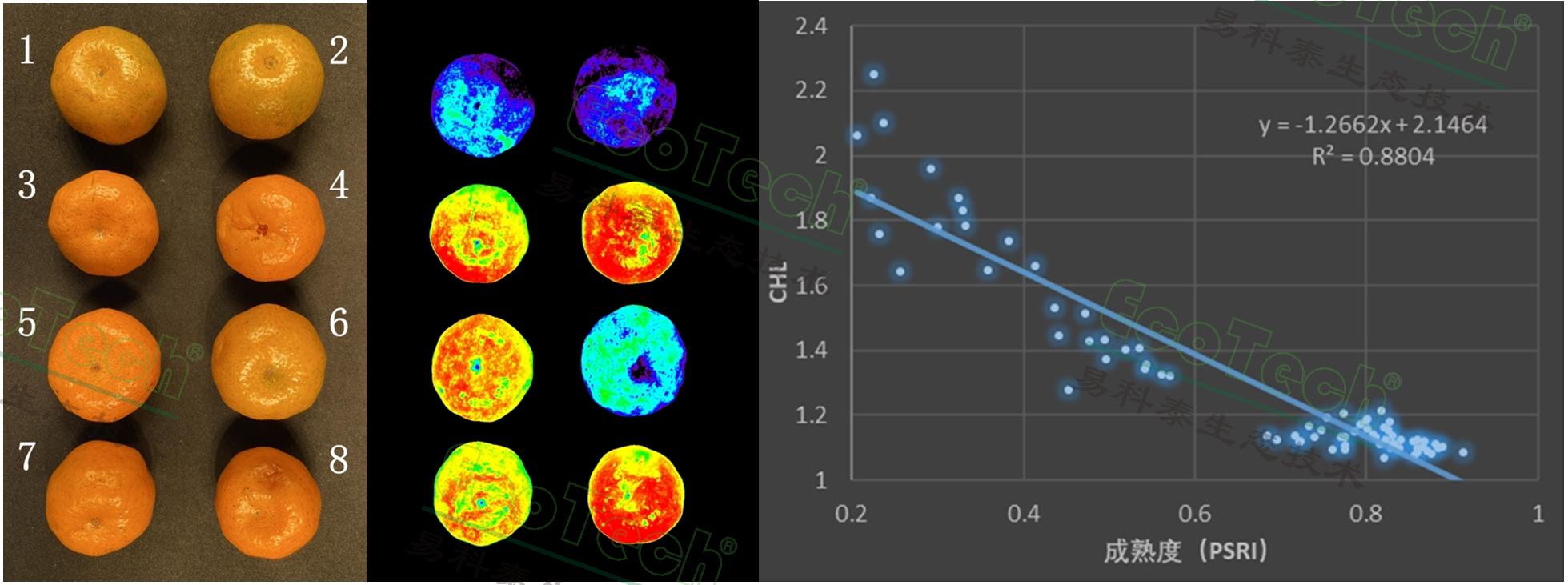 77779193永利官网(集团)有限公司
