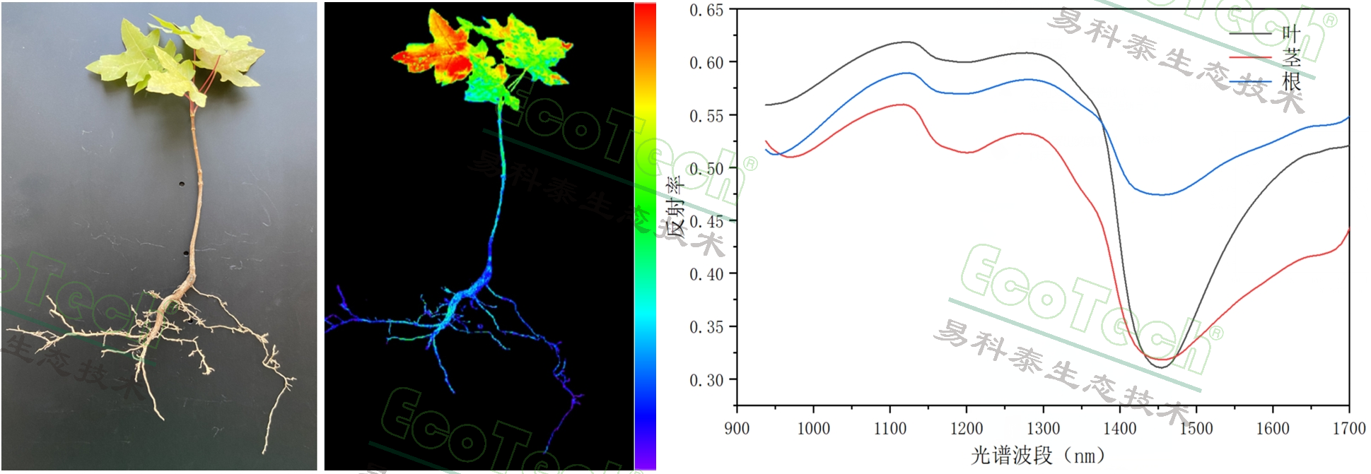 77779193永利官网(集团)有限公司
