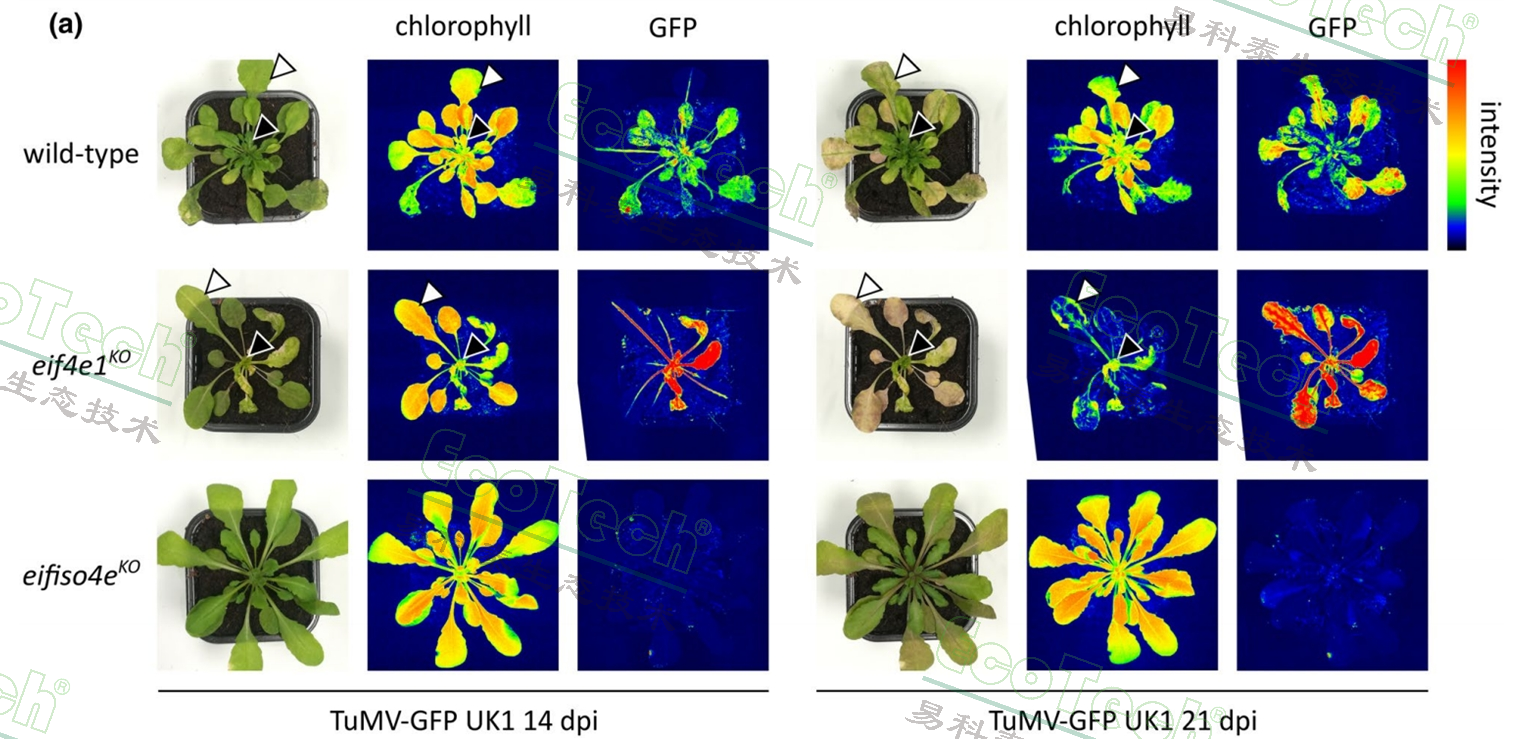 77779193永利官网(集团)有限公司