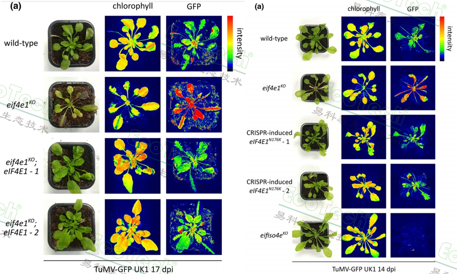 77779193永利官网(集团)有限公司