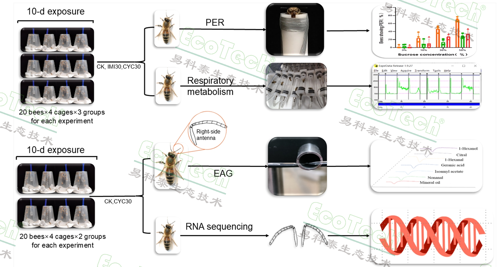 77779193永利官网(集团)有限公司