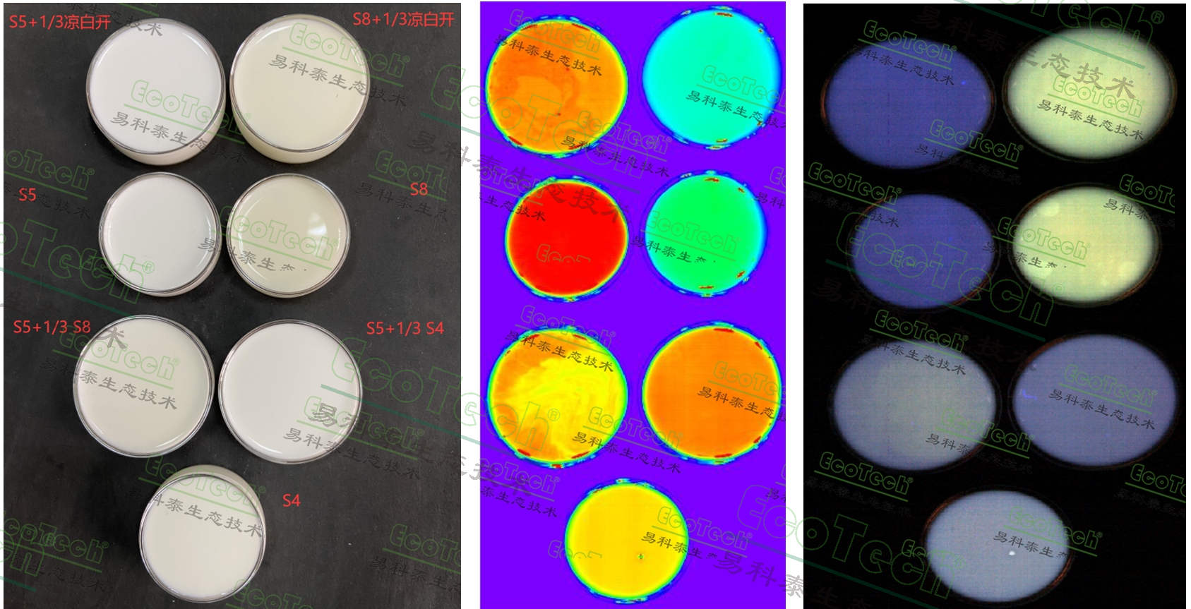 77779193永利官网(集团)有限公司