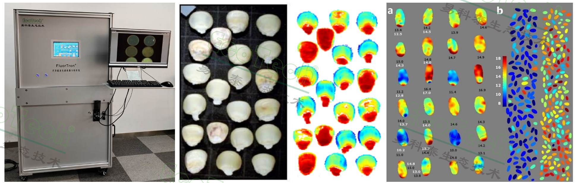 77779193永利官网(集团)有限公司