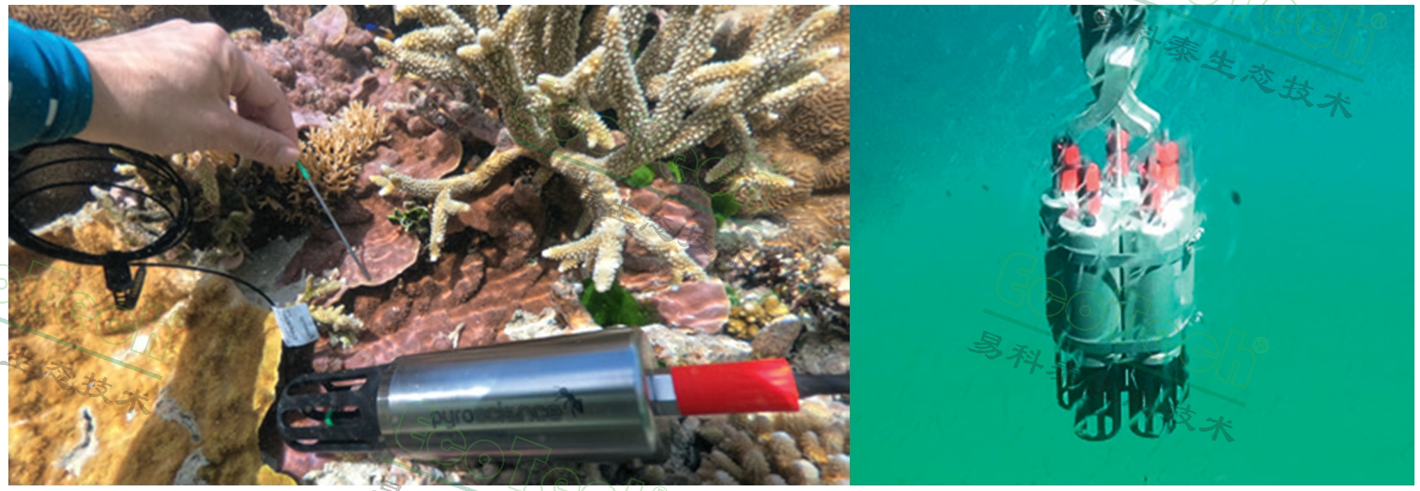 77779193永利官网(集团)有限公司