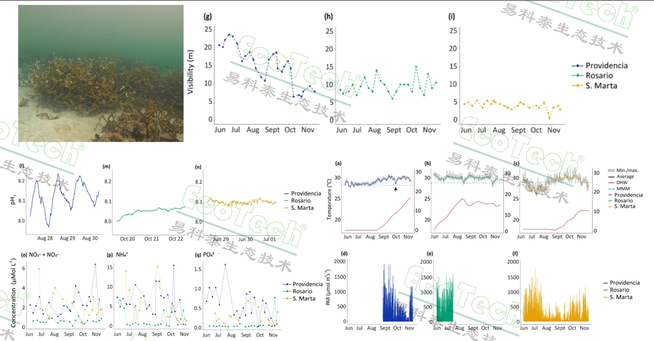 77779193永利官网(集团)有限公司