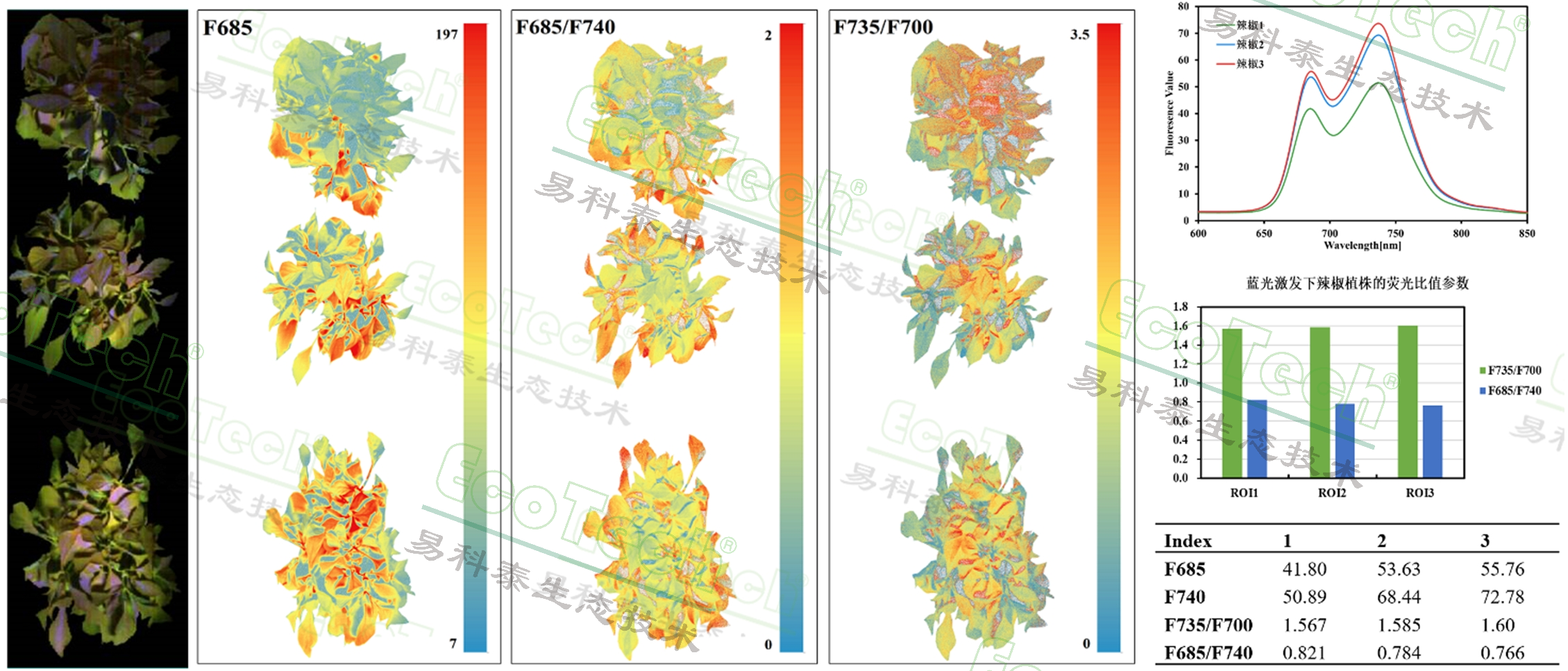 77779193永利官网(集团)有限公司