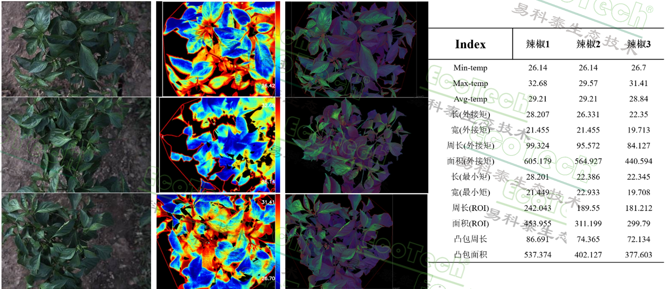 77779193永利官网(集团)有限公司