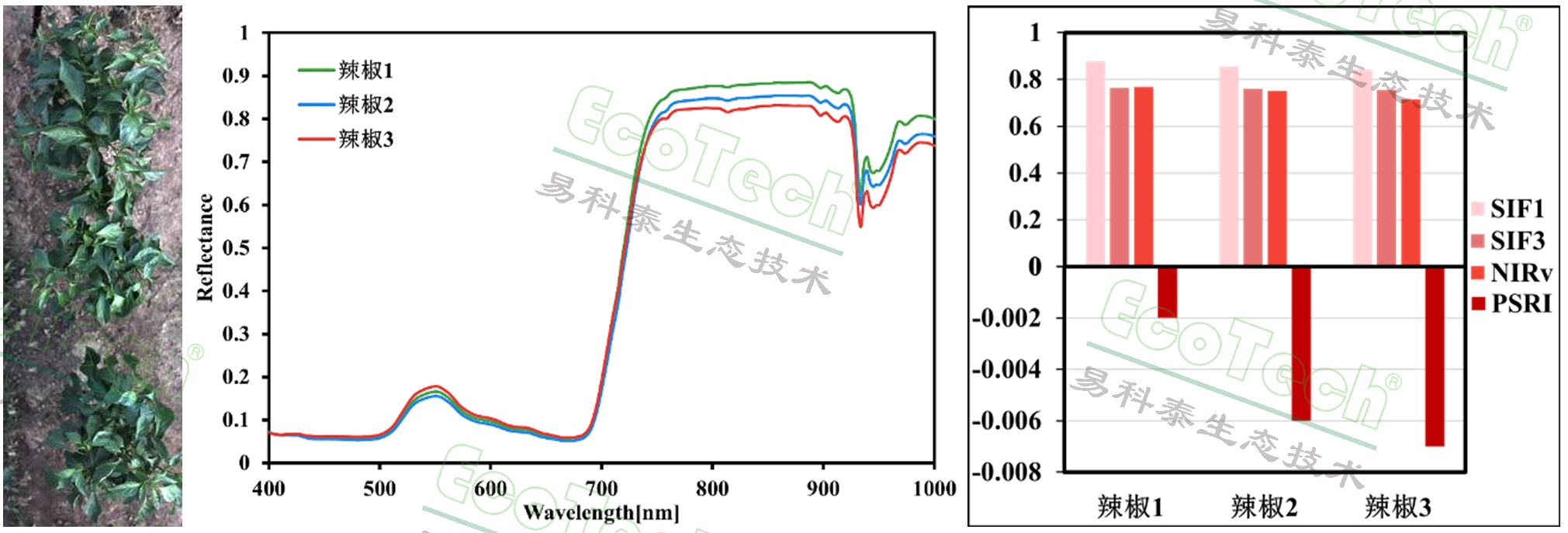 77779193永利官网(集团)有限公司