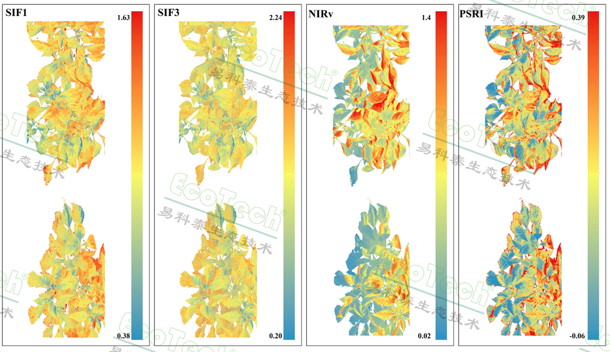 77779193永利官网(集团)有限公司