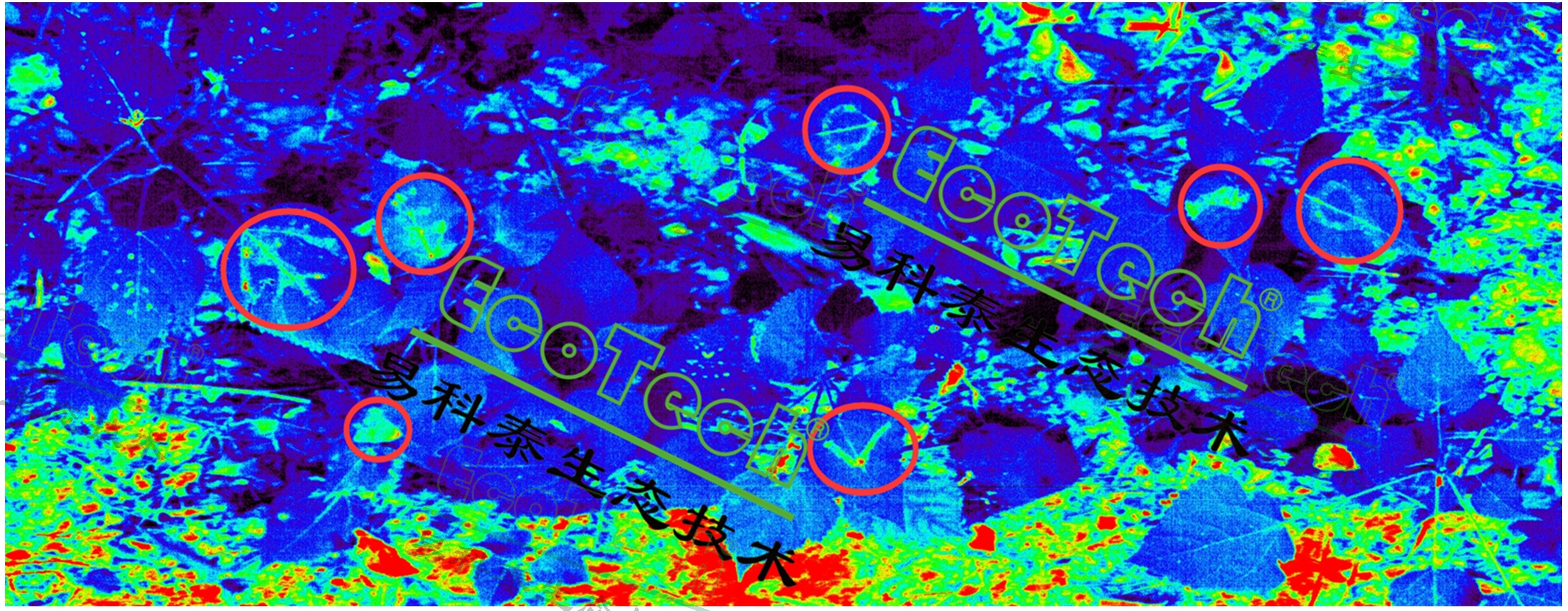 77779193永利官网(集团)有限公司
