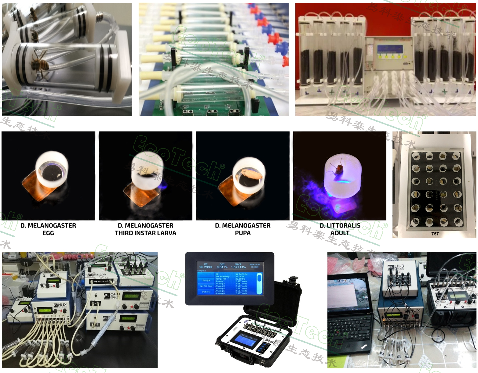 77779193永利官网(集团)有限公司