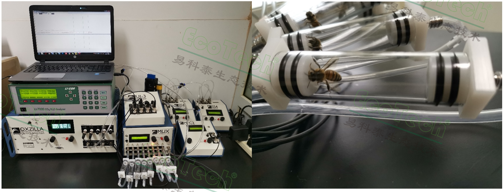 77779193永利官网(集团)有限公司