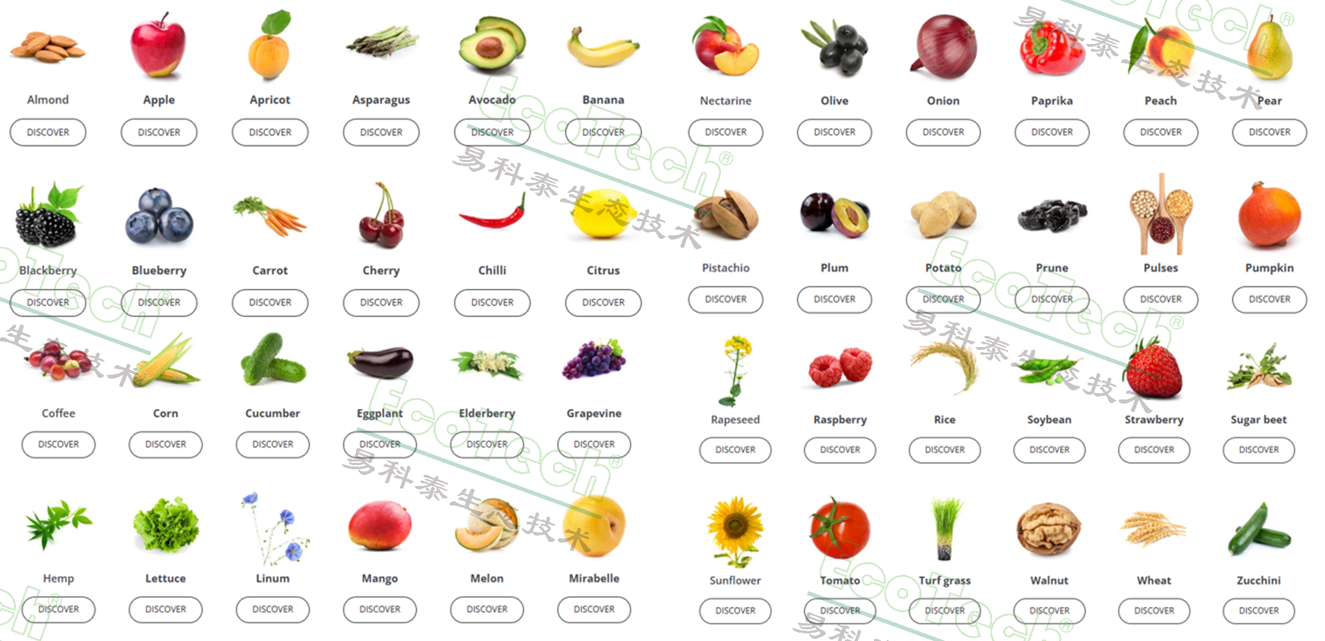 77779193永利官网(集团)有限公司