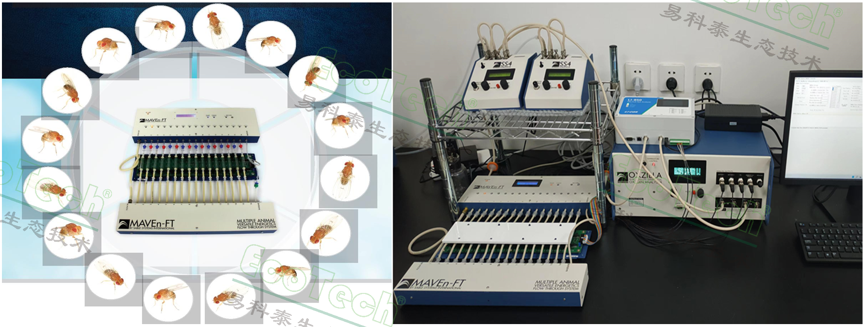 77779193永利官网(集团)有限公司