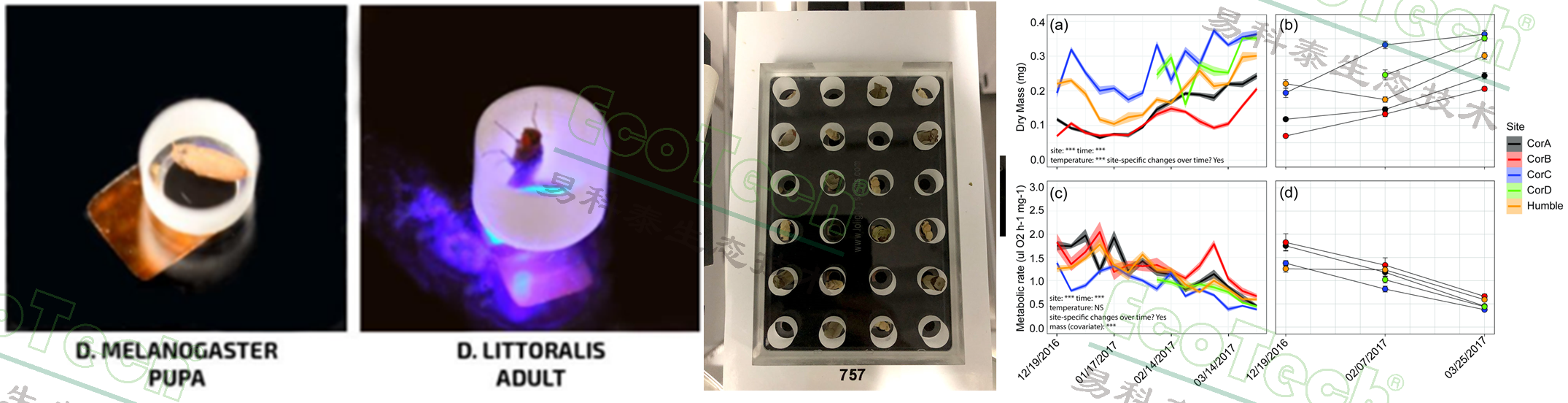 77779193永利官网(集团)有限公司