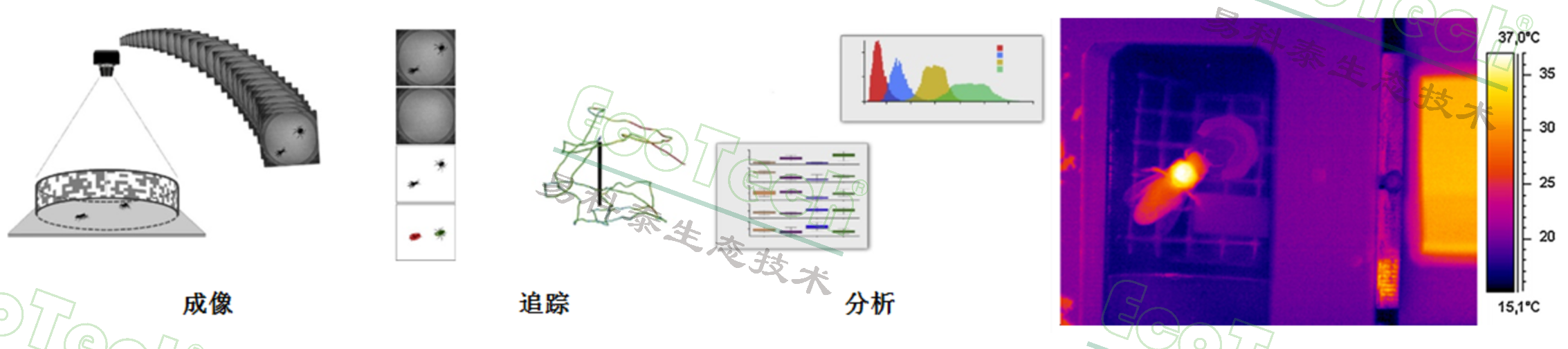77779193永利官网(集团)有限公司