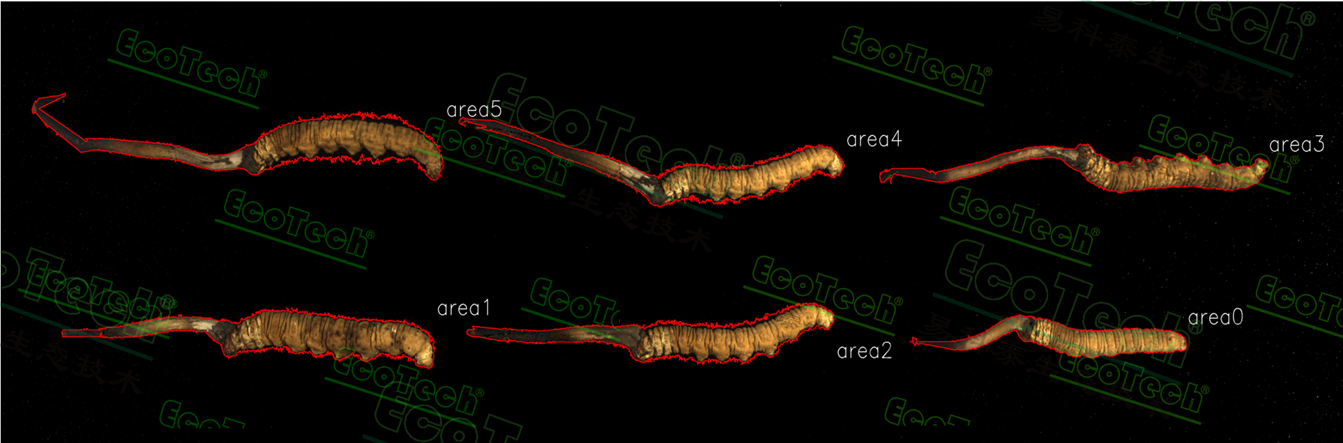 77779193永利官网(集团)有限公司