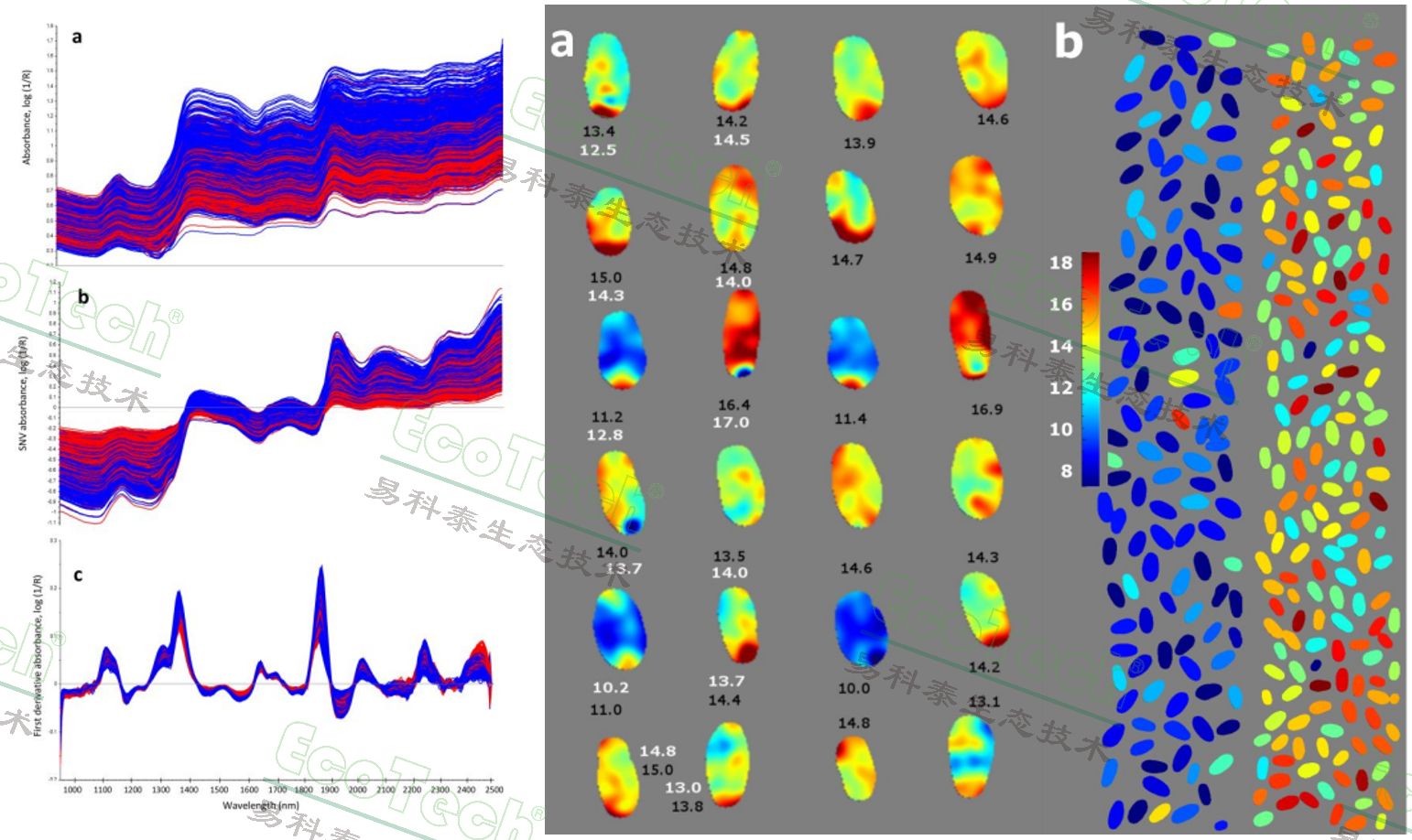 77779193永利官网(集团)有限公司