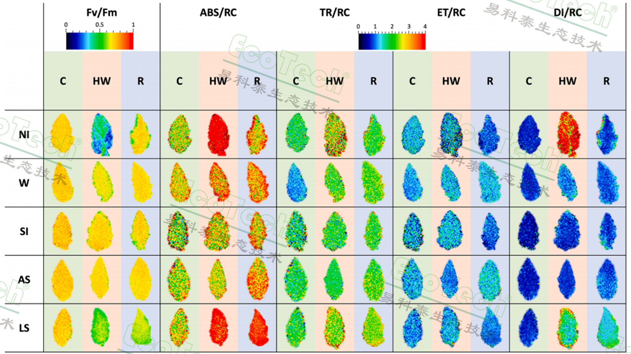 77779193永利官网(集团)有限公司