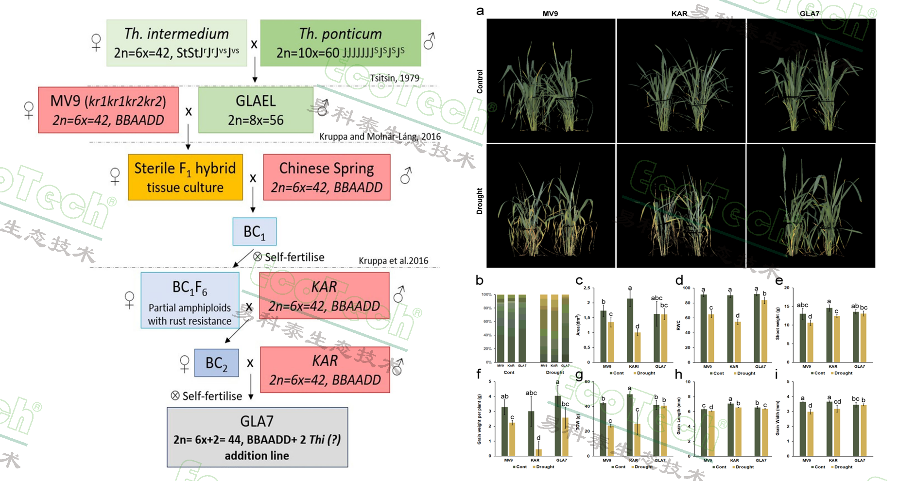 77779193永利官网(集团)有限公司