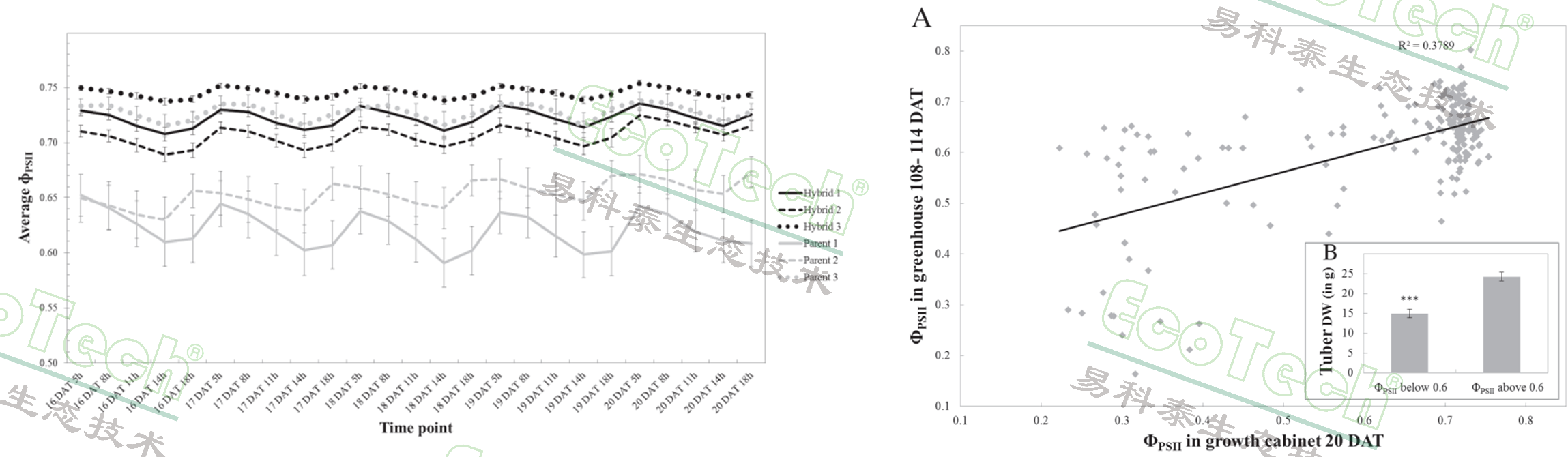 77779193永利官网(集团)有限公司