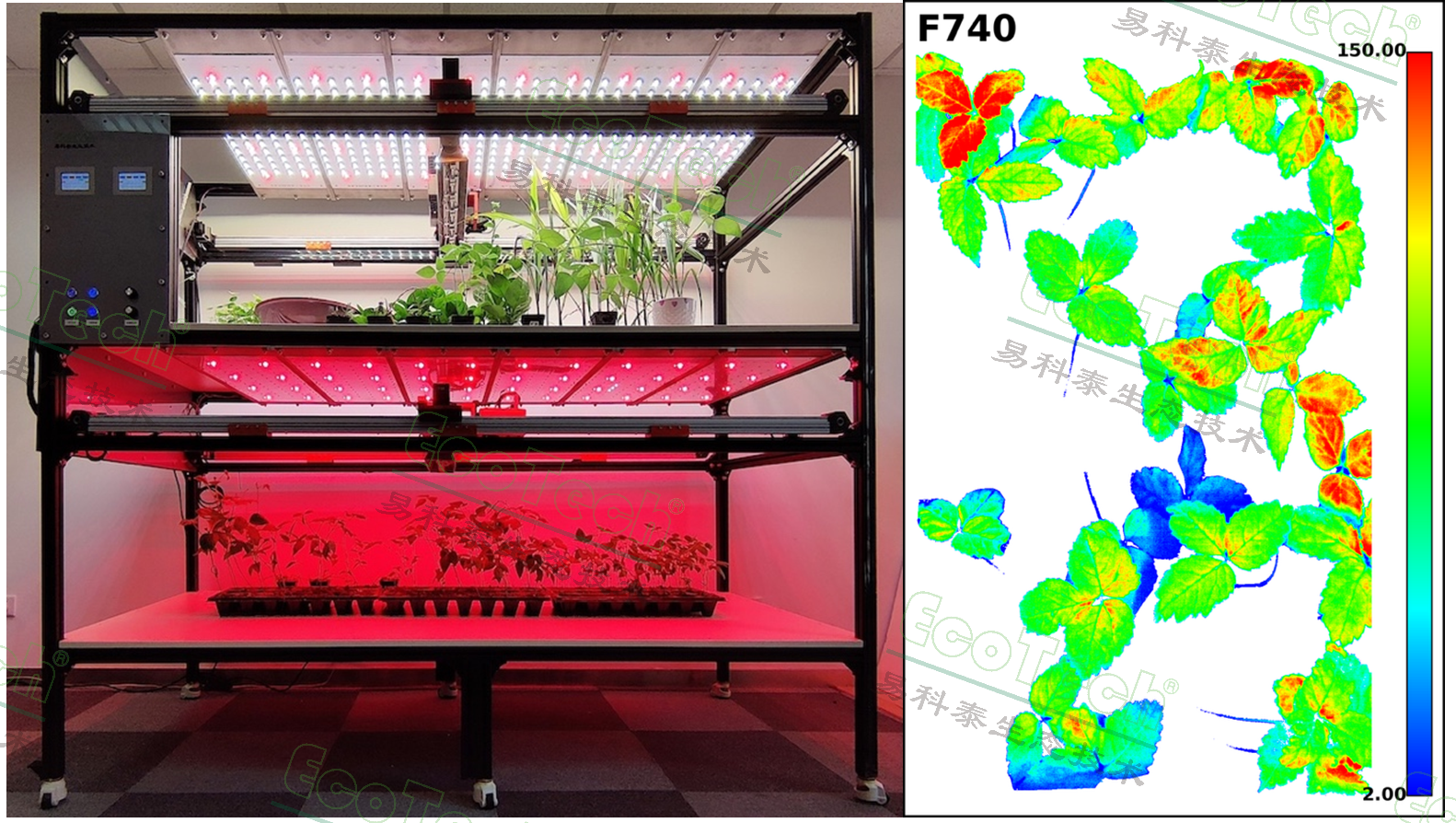 77779193永利官网(集团)有限公司