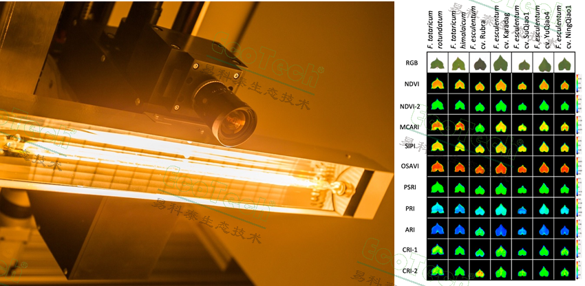 77779193永利官网(集团)有限公司