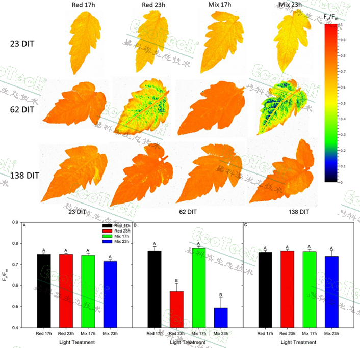 77779193永利官网(集团)有限公司