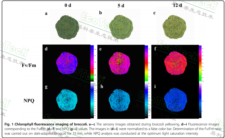 77779193永利官网(集团)有限公司