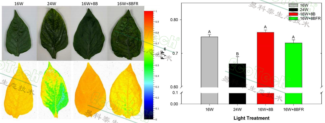 77779193永利官网(集团)有限公司