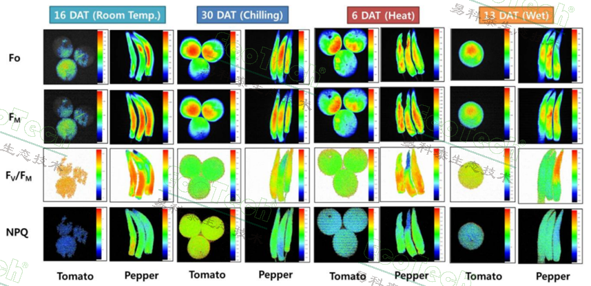 77779193永利官网(集团)有限公司