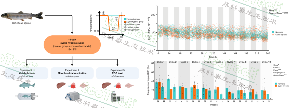 77779193永利官网(集团)有限公司