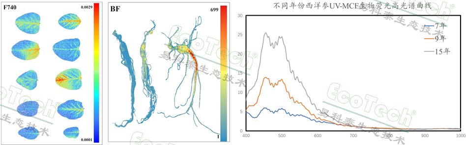 77779193永利官网(集团)有限公司