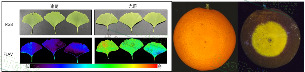 77779193永利官网(集团)有限公司