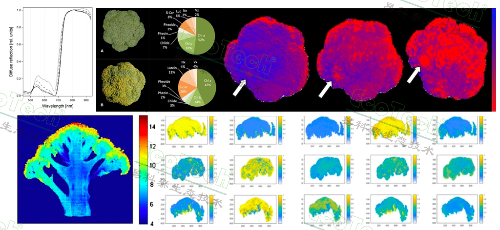 77779193永利官网(集团)有限公司