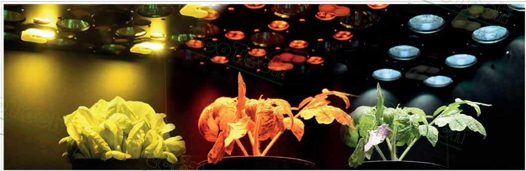 77779193永利官网(集团)有限公司