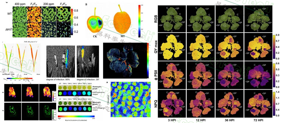 77779193永利官网(集团)有限公司