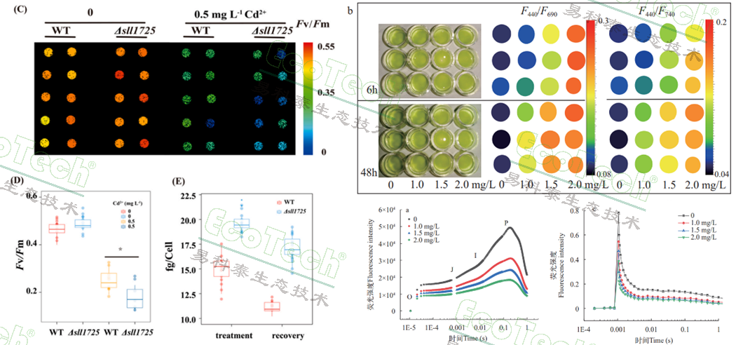 77779193永利官网(集团)有限公司