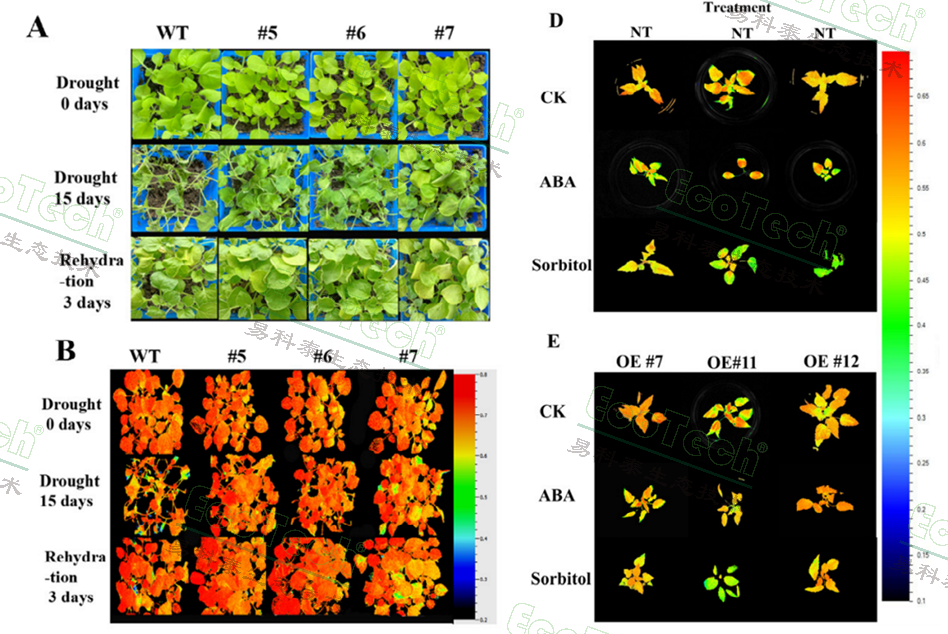 77779193永利官网(集团)有限公司