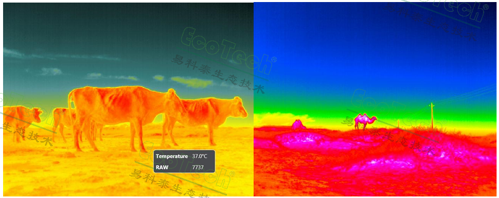 77779193永利官网(集团)有限公司