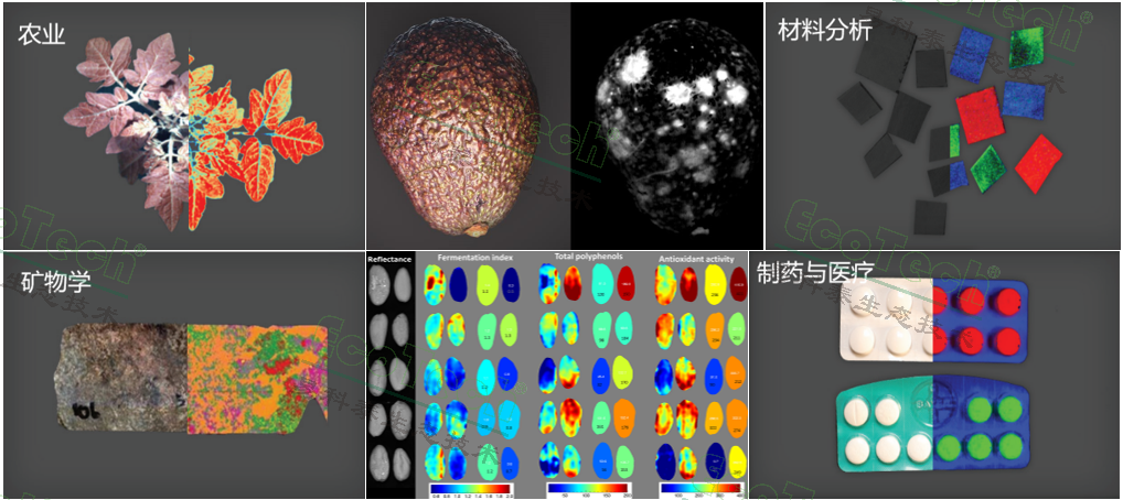 77779193永利官网(集团)有限公司