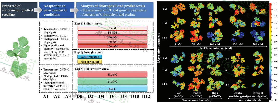 77779193永利官网(集团)有限公司