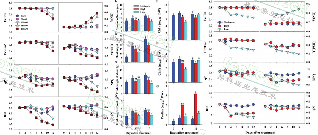 77779193永利官网(集团)有限公司