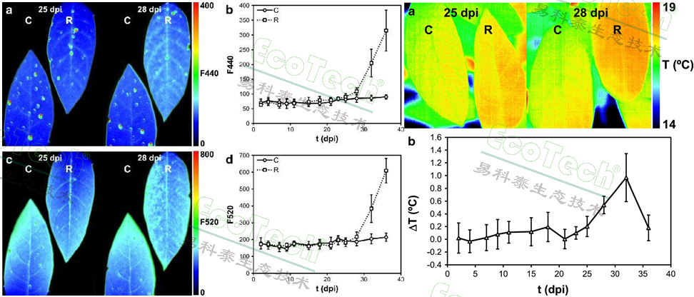 77779193永利官网(集团)有限公司
