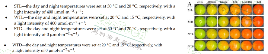 77779193永利官网(集团)有限公司