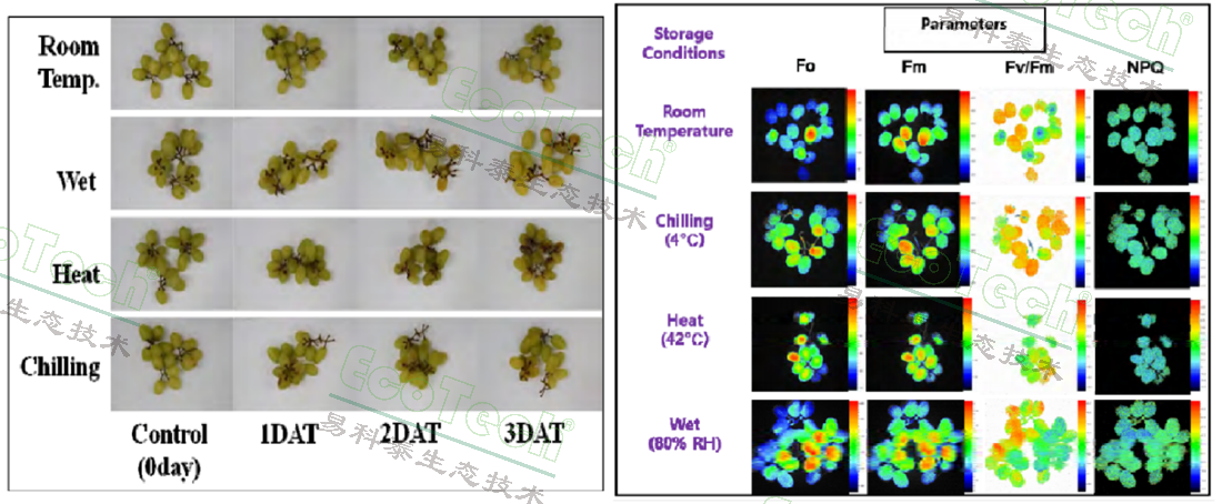 77779193永利官网(集团)有限公司